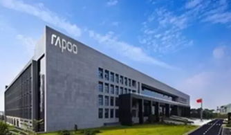 雷柏科技增长率背后的真相 技术咨询与转让的双轮驱动