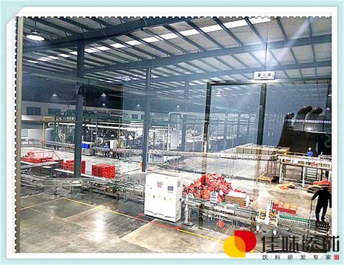 芦荟运动保健饮料的配方开发、技术咨询与转让全解析