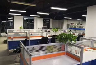 跨界奇遇 土鸡蛋、辣条与技术咨询的意外碰撞